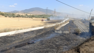 Aliağa 'de Yol kenarına atılan sigara izmariti yangın çıkardı