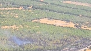 Bergama' da Orman Yangını Kontrol Altına Alındı