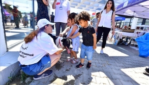 İzmir'de bir yılda 95 bin sahipsiz hayvan kısırlaştırıldı