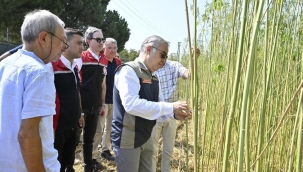 İzmir'de İlk İzinli Kenevir Hasadı Gerçekleştirildi