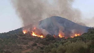 İzmir'deki orman yangınlarında 6 tutuklama
