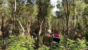  İzmir Menderes'te Uyuşturucu Operasyonu: 4 Gözaltı