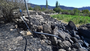 Yangından kurtarılan bahçelerde umut yeşerdi 