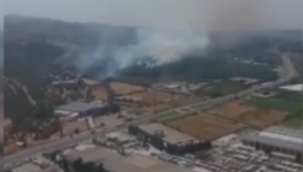 İzmir'de ormanlık alanda yangına havadan ve karadan müdahale başladı