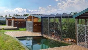 Karşıyaka Belediyesi yeni hayvan barınağı için düğmeye bastı