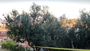 Kınık'ta Tartışma Kanlı Bitti: Bir Kişi Hayatını Kaybetti