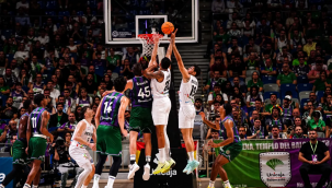 Aliağa Petkimspor, Deplasmanda Unicaja'ya Yenildi