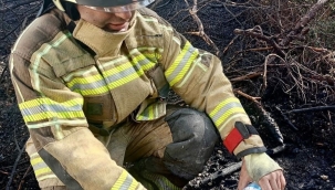 Foça'da Çıkan Yangın Kontrol Altına Alındı