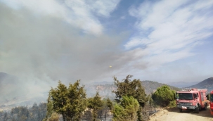 Foça'da Yangın Kontrol Altında: Soğutma Çalışmaları Devam Ediyor