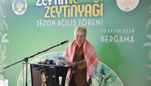 Bergama'da Zeytin Hasadı Başladı: Sektör Rekor Bekliyor