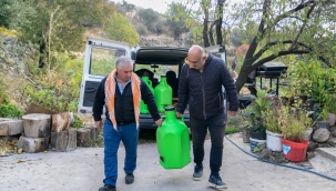 Bornova'da zeytin üreticilerine lojistik destek