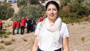 Engelli bireyler zeytin hasadı sayesinde sosyalleşti