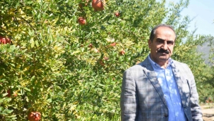 İhracatta nar bereketi: 100 milyon doları aştı