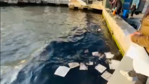 Körfezde bu defa petrol kaynaklı kirlilik: Deniz yüzeyi siyah yağ tabakası ile kaplandı