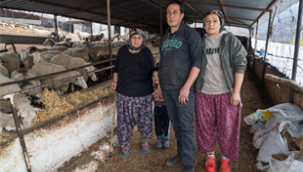 Yangın mağduru çiftçilere 225 ton yem desteği