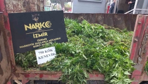 Hayvan damında uyuşturucu imalatı ve ticaretine polis operasyonu