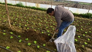 Hümik Asit Uygulamasıyla Verimli Topraklar, Sağlıklı Ürünler