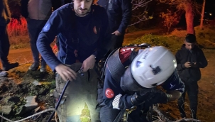 İtfaiye ekipleri buzağıyı düştüğü kuyudan çıkardı