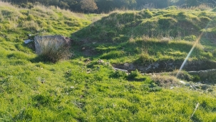 Aliağa'nın Unutulmuş Hazinesi: Hayrat Çeşmesi Yeniden Hayat Bulsun