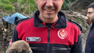Kanal borusuna sıkışan köpeği İtfaiye ekipleri kurtardı