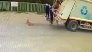 Çiğli Belediyesi çöp kamyonu köpeği ezdi, durmadan yoluna devam etti
