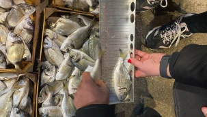 İzmir'de Su Ürünleri Denetimi: Yasal Olmayan Avcılığa Müdahale 