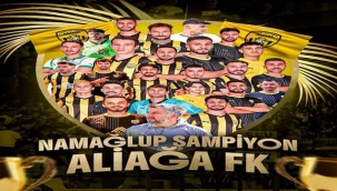 Aliağa FK, 3. Lig 3. Grup'ta namağlup şampiyon olarak 2. Lig'e yükseldi