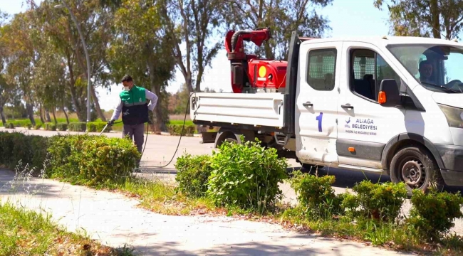 Aliağa Belediyesinden haşerelere karşı yoğun mücadele