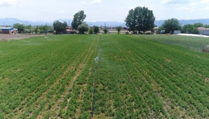 Bakırçay'ın bereketine bekeret katacağız