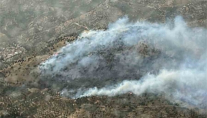 Bayındır'da Zeytinlik Alanda Çıkan Yangın Kontrol Altına Alındı