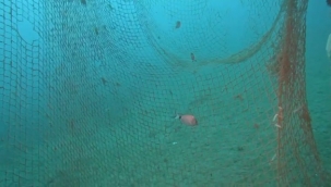 Denizlerin Sessiz Katili Temizleniyor: Karaburun Açıklarında 1,5 Ton Hayalet Ağ Toplandı