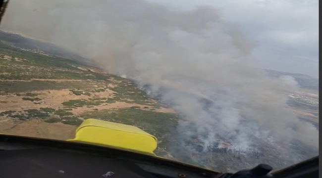 Foça'da Ziraat Arazisinde Yangın Çıktı, Ormana Sıçradı