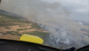 Foça'da Ziraat Arazisinde Yangın Çıktı, Ormana Sıçradı