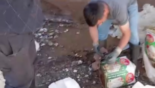 Gıda teröristleri tonlarca bozuk peyniri vatandaşa yedirecekti