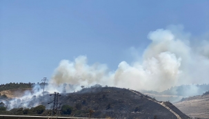 Aliağa Bozköy'de Orman Yangını: Havadan ve Karadan Müdahale Sürüyor