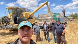 Aliağa'da 2025 Yılı Hububat Hasadı Başladı