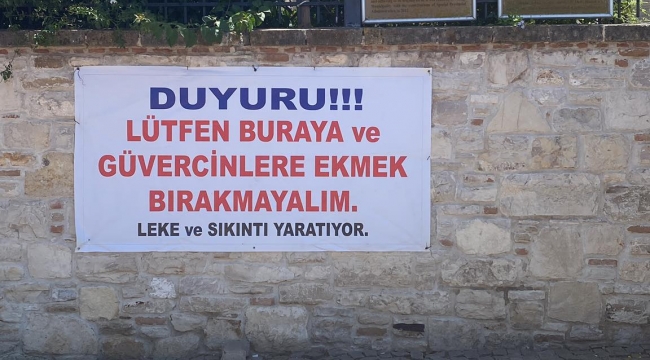 Aliağa'da Afiş ve Pankart Kirliliğine Tepki: Vatandaşlar Belediyeyi Göreve Çağırdı