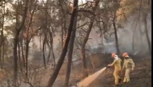 Aliağa'da ormanlık alandaki yangın kontrol altında