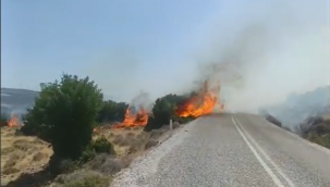 Aliağa'da ziraat arazilerinde yangın