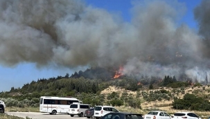  Aliağa Pınarcık Ormanlarında yangını Söndörüldü