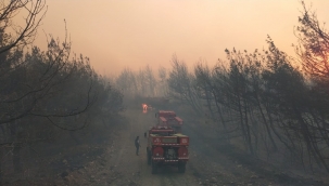 Aliağa ve Foça'da Orman Yangınında Ekiplerin Zorlu Mücadelesi