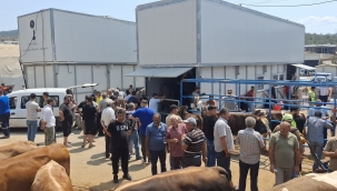 Büyükşehir'den bayramda güvenli ve hijyenik kesim hizmeti