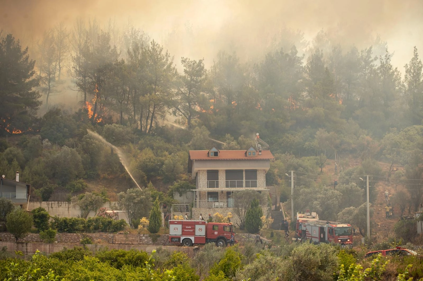 İzmir Büyükşehir'den yangınların bilançosu