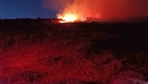 Menemen'de makilik alanda yangın