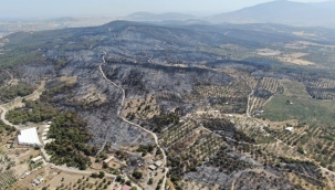 Yangının hasarı havadan görüntülendi