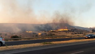 Aliağa'daki otluk alandaki yangını kontrol altına alındı