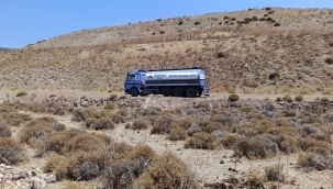 Aliağa 'de Yaban Hayvanları için tankerle su taşındı