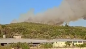 İzmir'de ormanlık alanda yangın