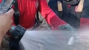 İzmir yangınında itfaiyeciler balığı kurtardı