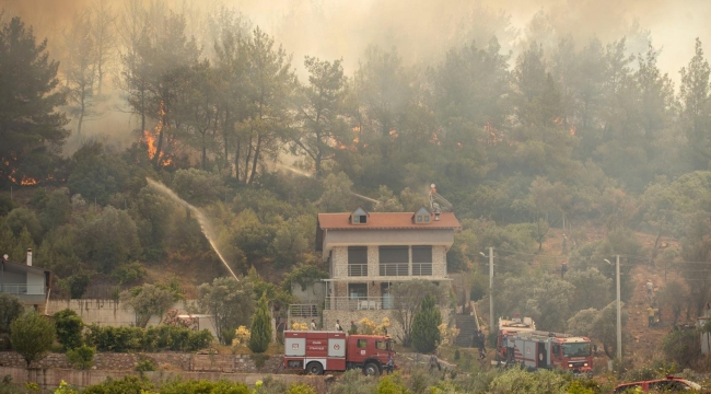 Son üç günde çıkan yangınlar yaklaşık 10 bin hektarlık alanı küle çevirdi
